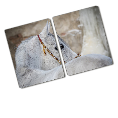 Protection plaque induction Cheval blanc d'Arabie