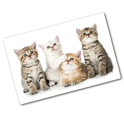 Protection plaque induction Petits chats