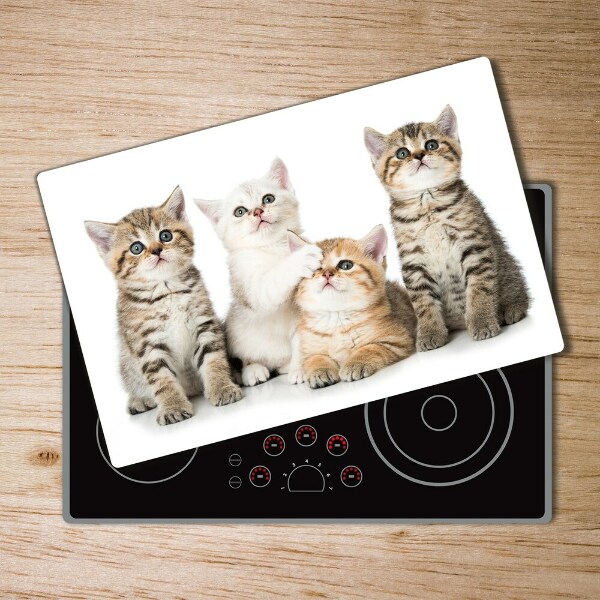 Protection plaque induction Petits chats