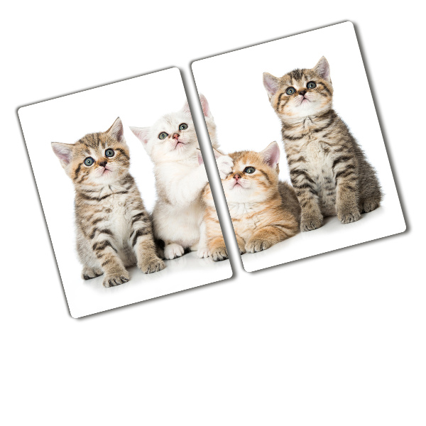 Protection plaque induction Petits chats