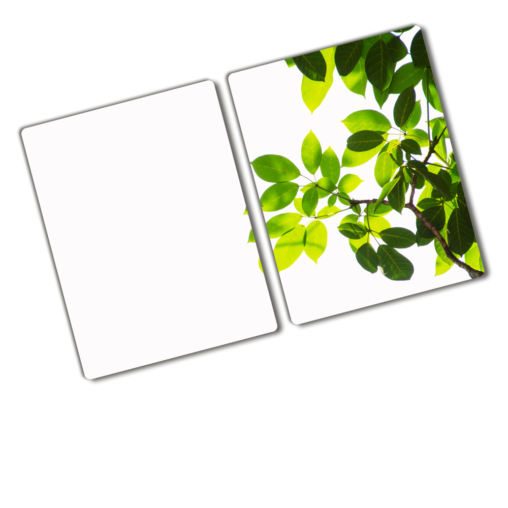 Protection pour plaque de cuisson Feuilles