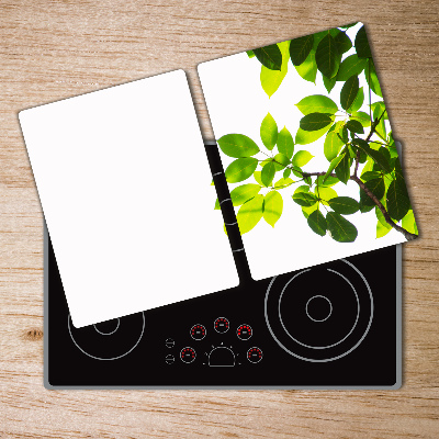 Protection pour plaque de cuisson Feuilles