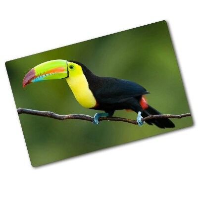 Protection plaque induction Toucan