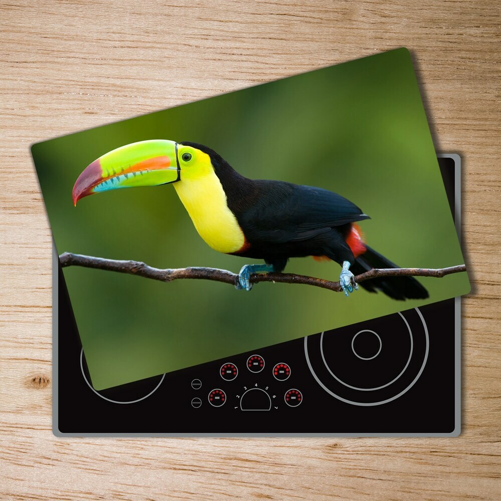 Protection plaque induction Toucan