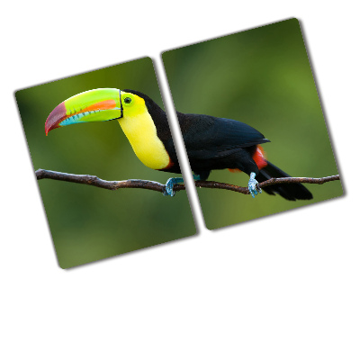 Protection plaque induction Toucan