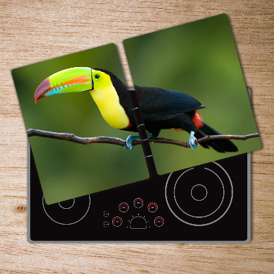 Protection plaque induction Toucan