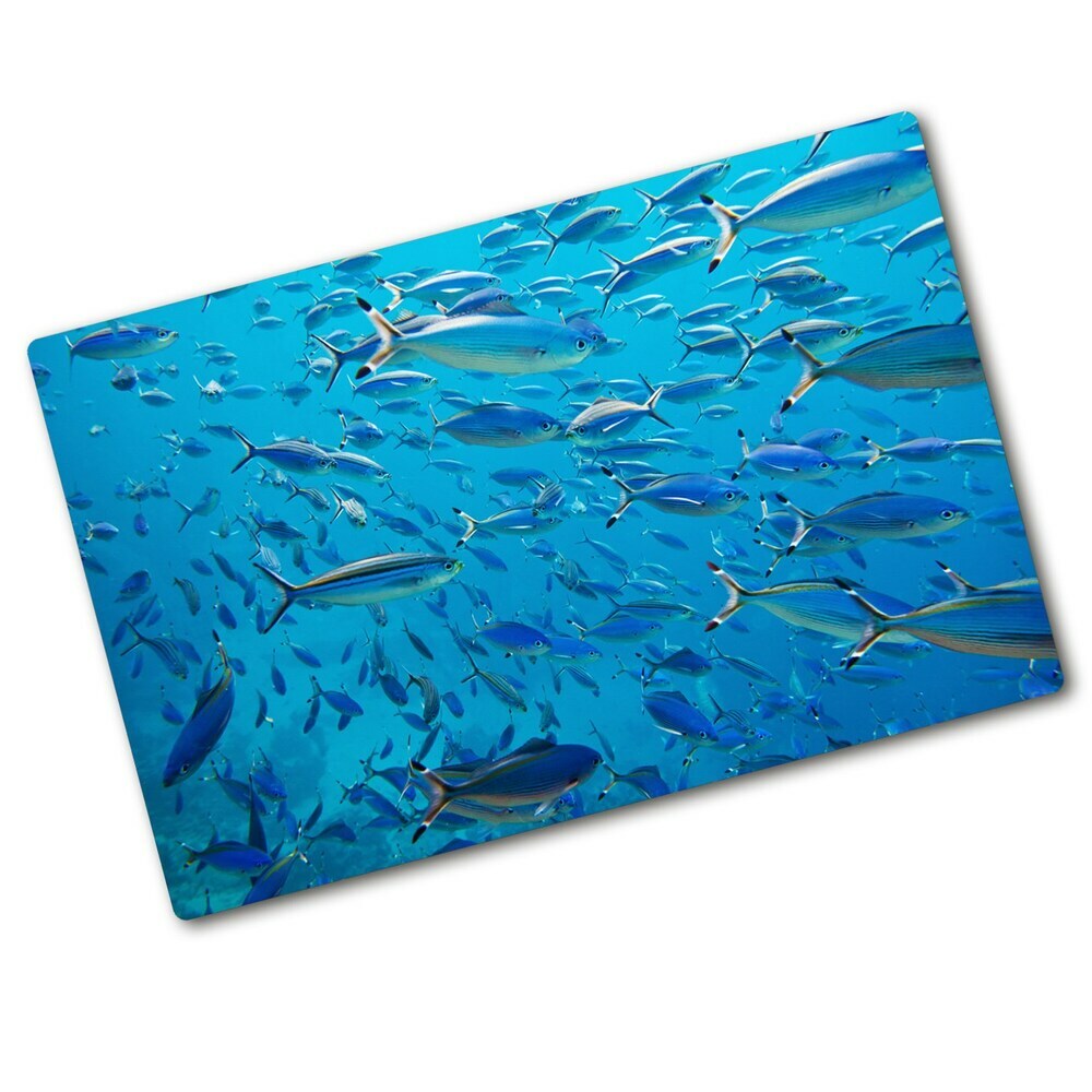 Protection plaque induction Poisson de corail