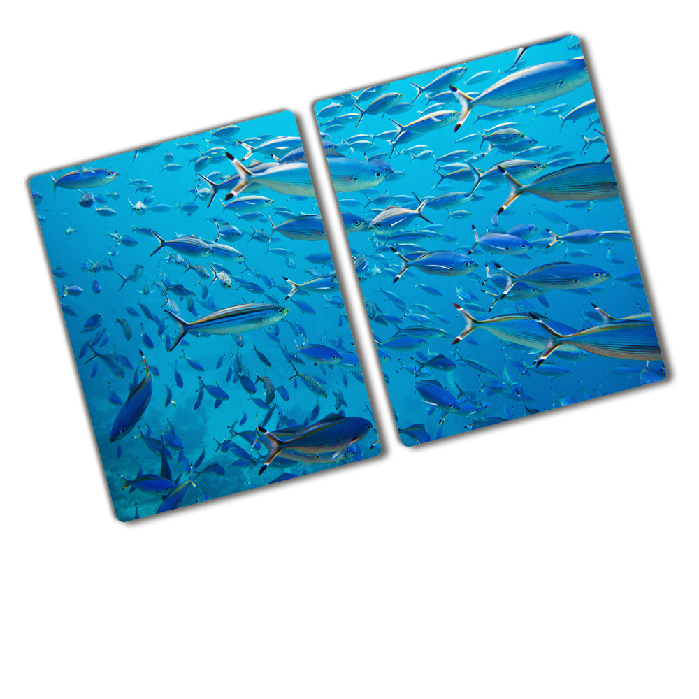 Protection plaque induction Poisson de corail