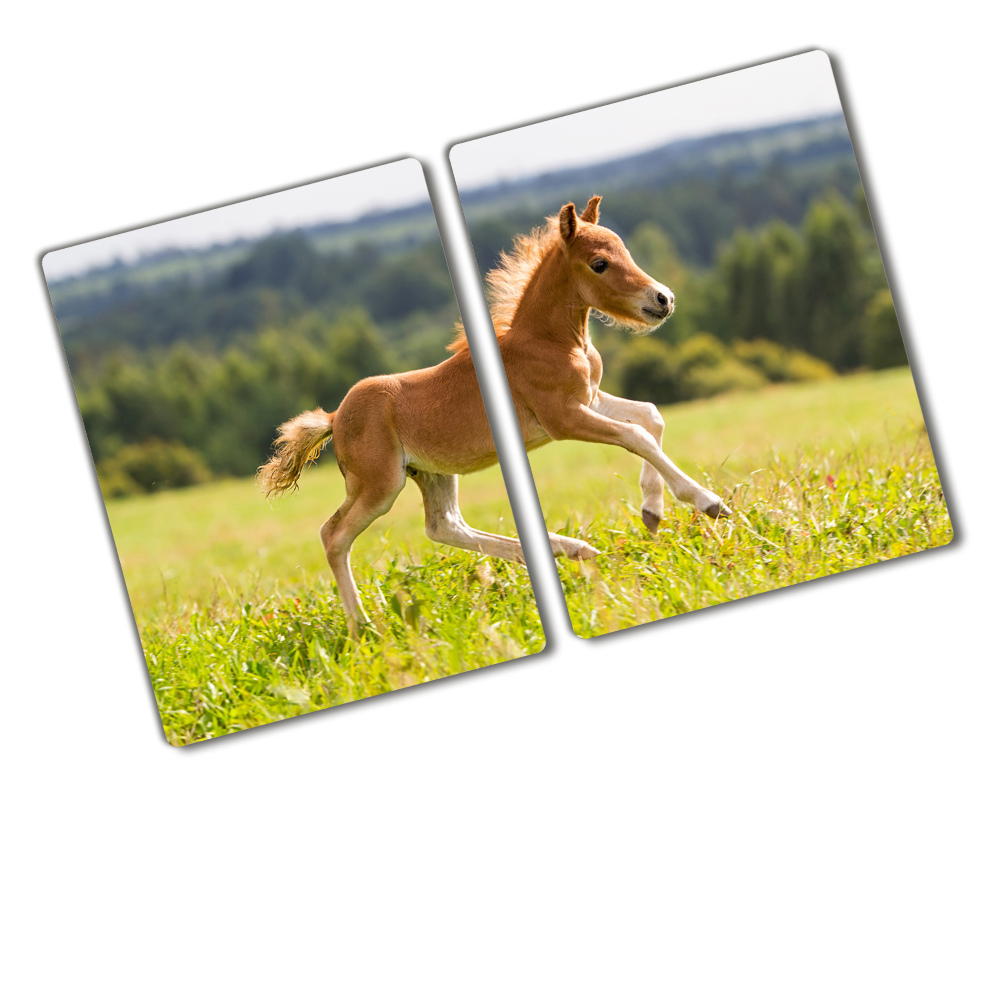 Protection plaque induction Poulain au galop