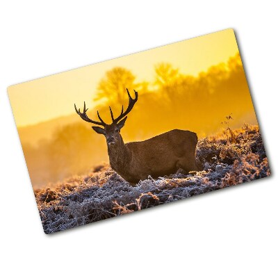 Protection plaque induction Lever de soleil sur un cerf