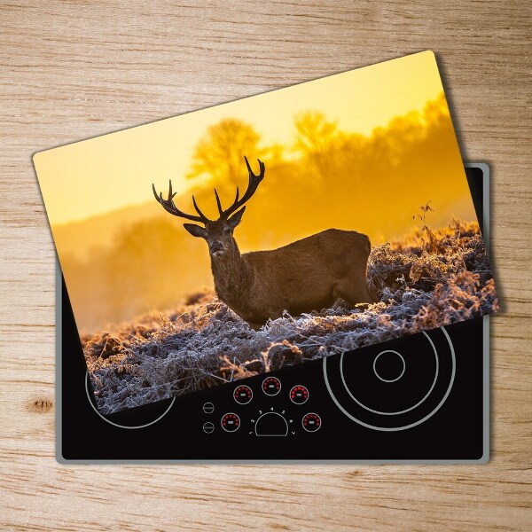 Protection plaque induction Lever de soleil sur un cerf