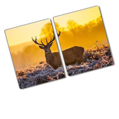 Protection plaque induction Lever de soleil sur un cerf