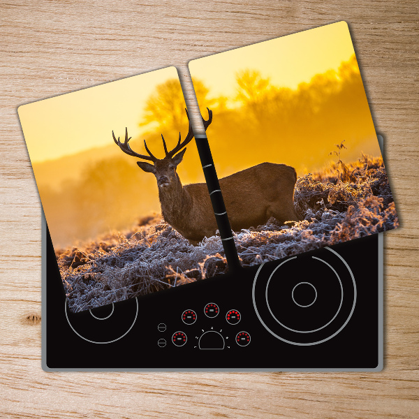 Protection plaque induction Lever de soleil sur un cerf