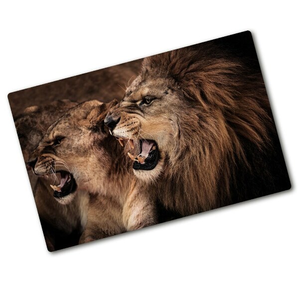 Protection plaque induction Lions rugissants