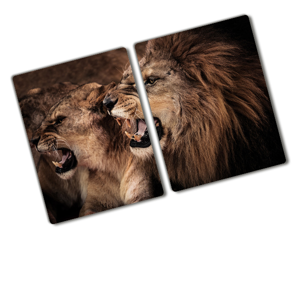 Protection plaque induction Lions rugissants