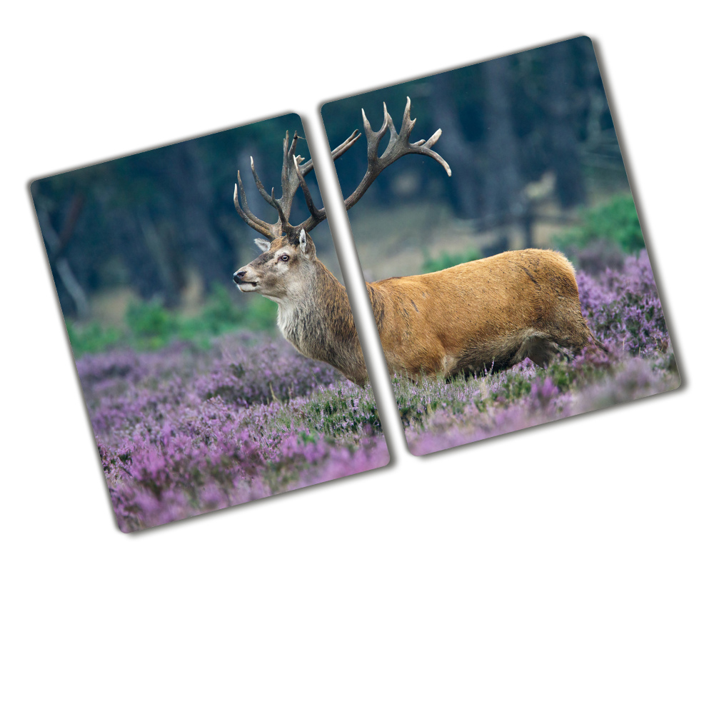 Protection plaque induction Cerf parmi les lavandes