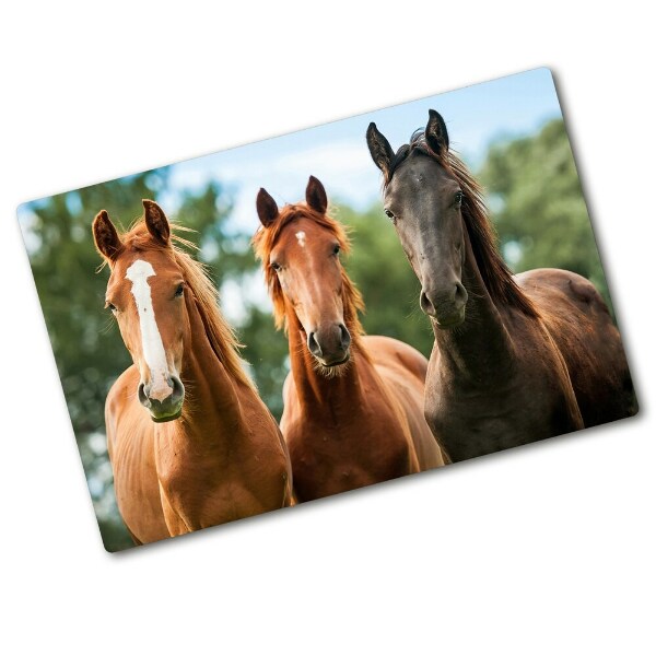 Protection plaque induction Trois chevaux