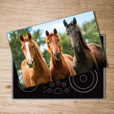 Protection plaque induction Trois chevaux