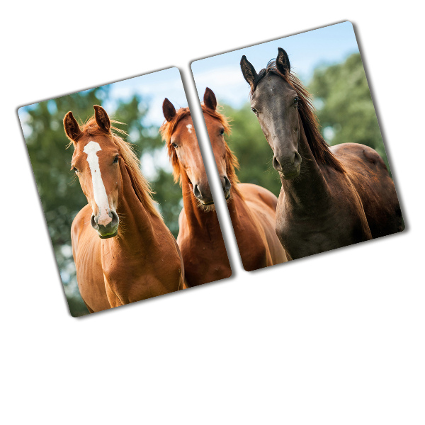 Protection plaque induction Trois chevaux