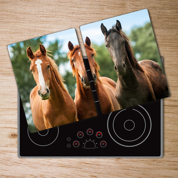 Protection plaque induction Trois chevaux