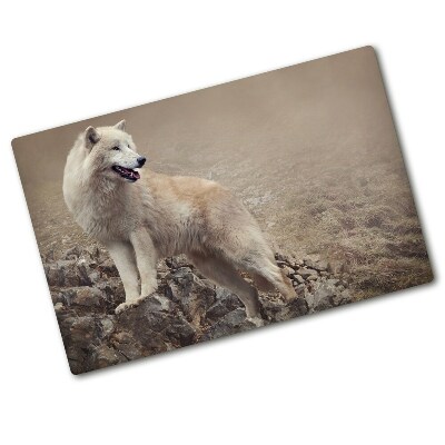 Protection plaque induction Loup blanc sur un rocher