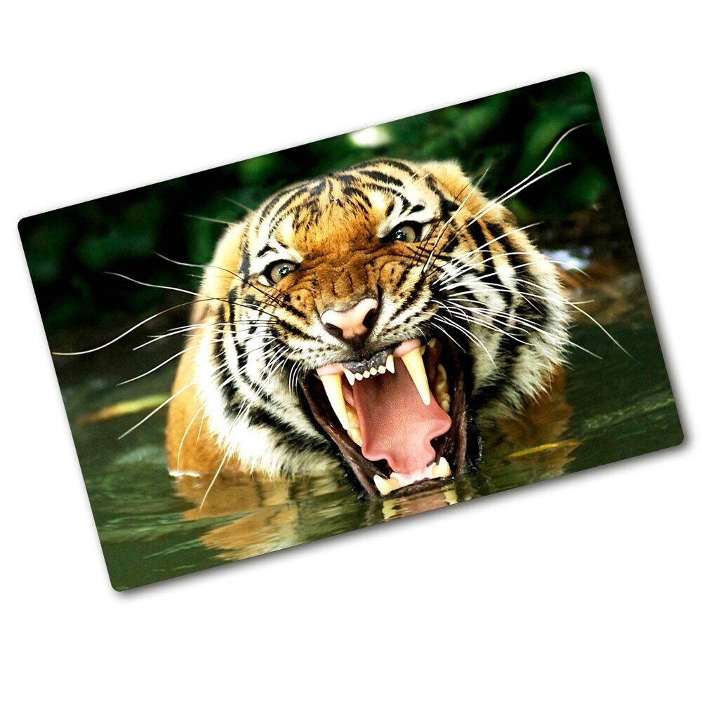 Protection plaque induction Tigre rugissant