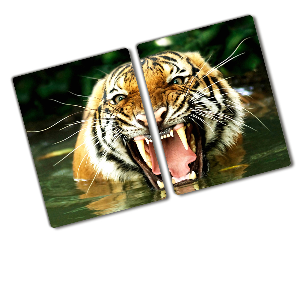 Protection plaque induction Tigre rugissant