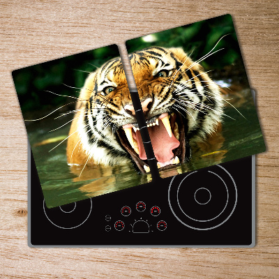 Protection plaque induction Tigre rugissant