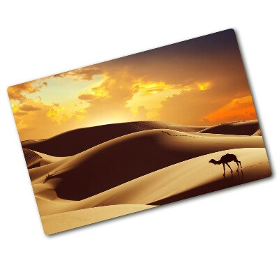 Protection plaque induction Sahara des chameaux