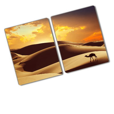 Protection plaque induction Sahara des chameaux