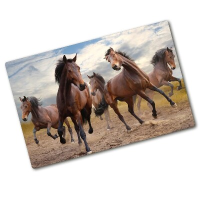 Protection plaque induction Cinq chevaux