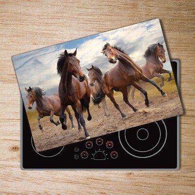 Protection plaque induction Cinq chevaux