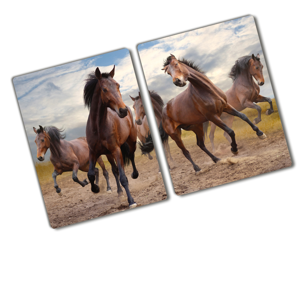 Protection plaque induction Cinq chevaux