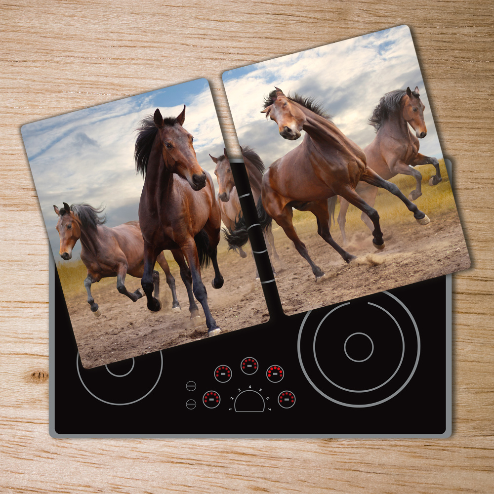 Protection plaque induction Cinq chevaux