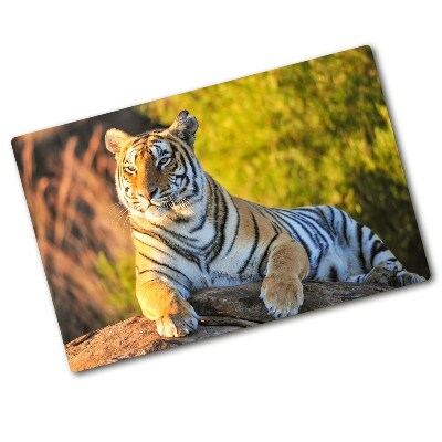 Protection plaque induction Portrait d'un tigre