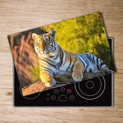 Protection plaque induction Portrait d'un tigre