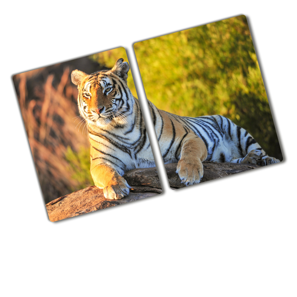 Protection plaque induction Portrait d'un tigre