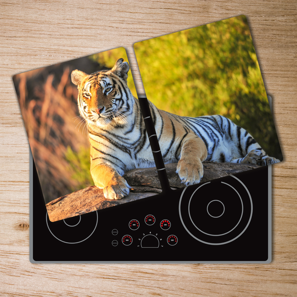 Protection plaque induction Portrait d'un tigre