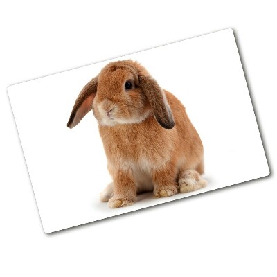 Protection plaque induction Lapin rouge