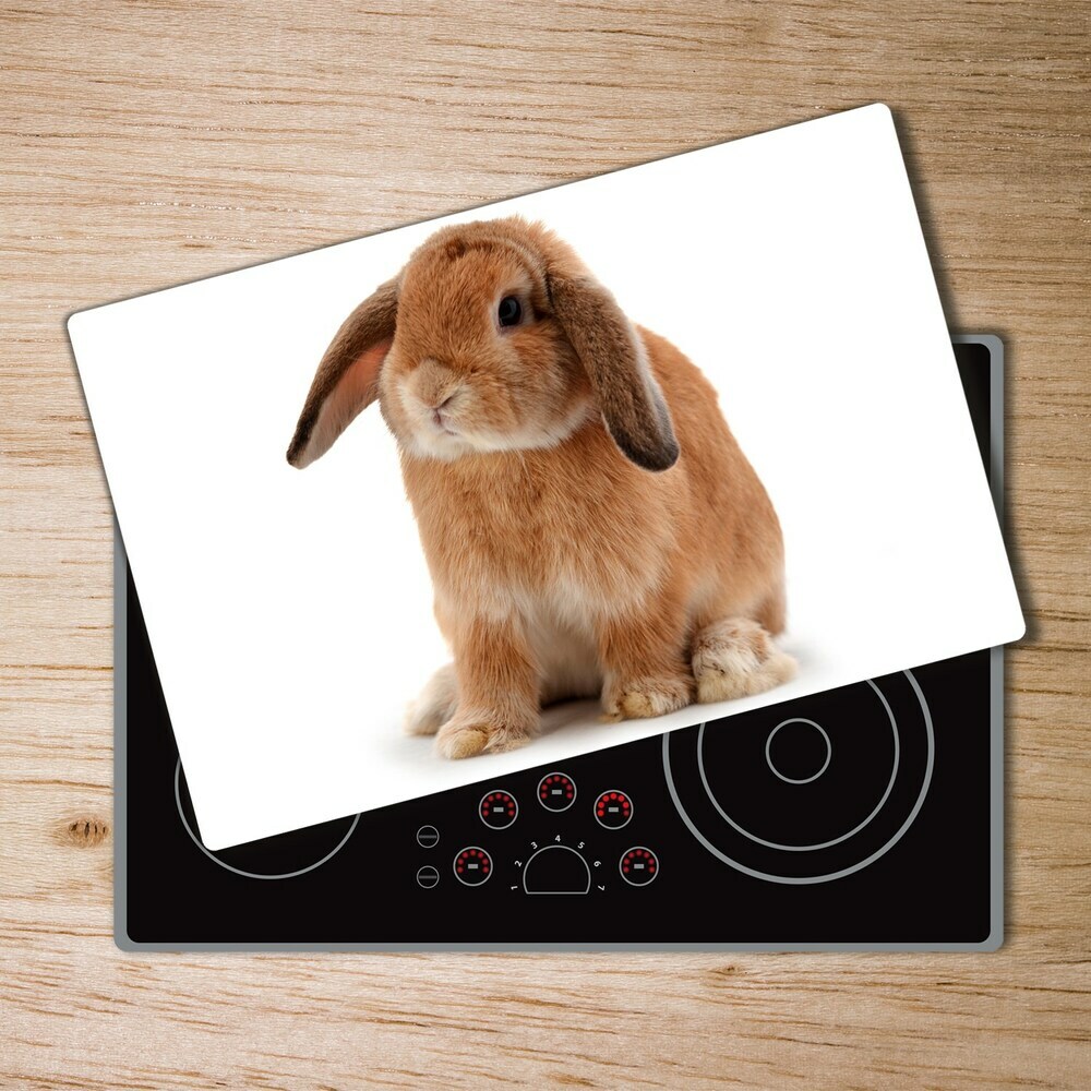 Protection plaque induction Lapin rouge