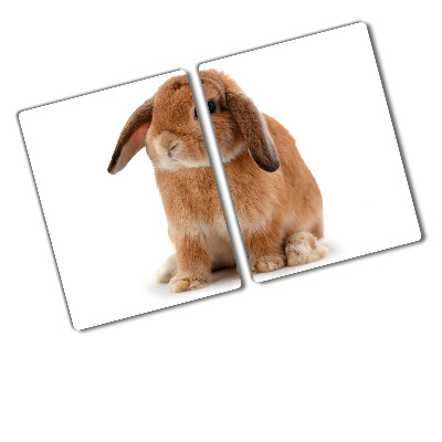 Protection plaque induction Lapin rouge