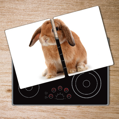 Protection plaque induction Lapin rouge