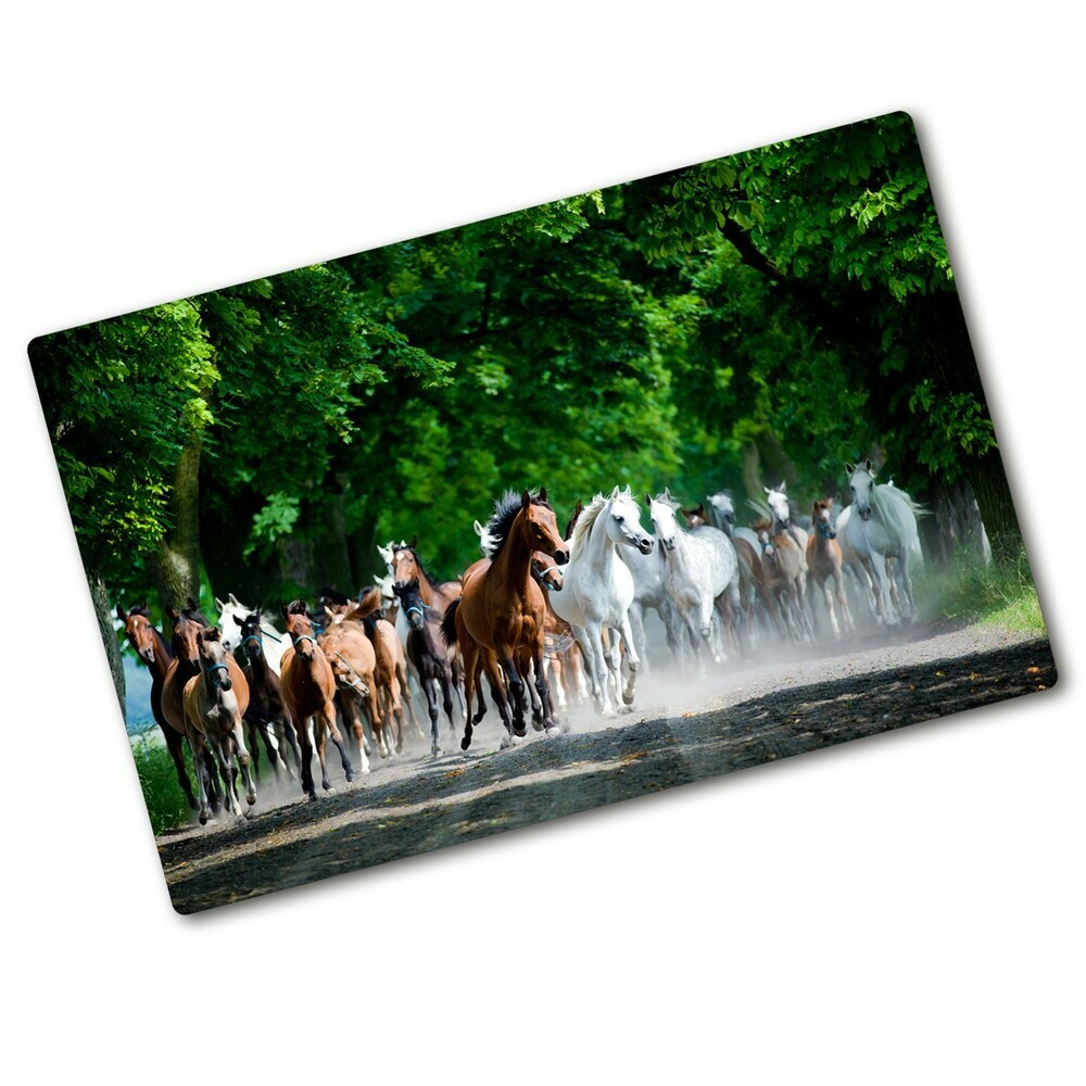 Protection plaque induction Troupeau de chevaux au galop