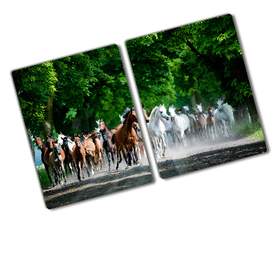 Protection plaque induction Troupeau de chevaux au galop