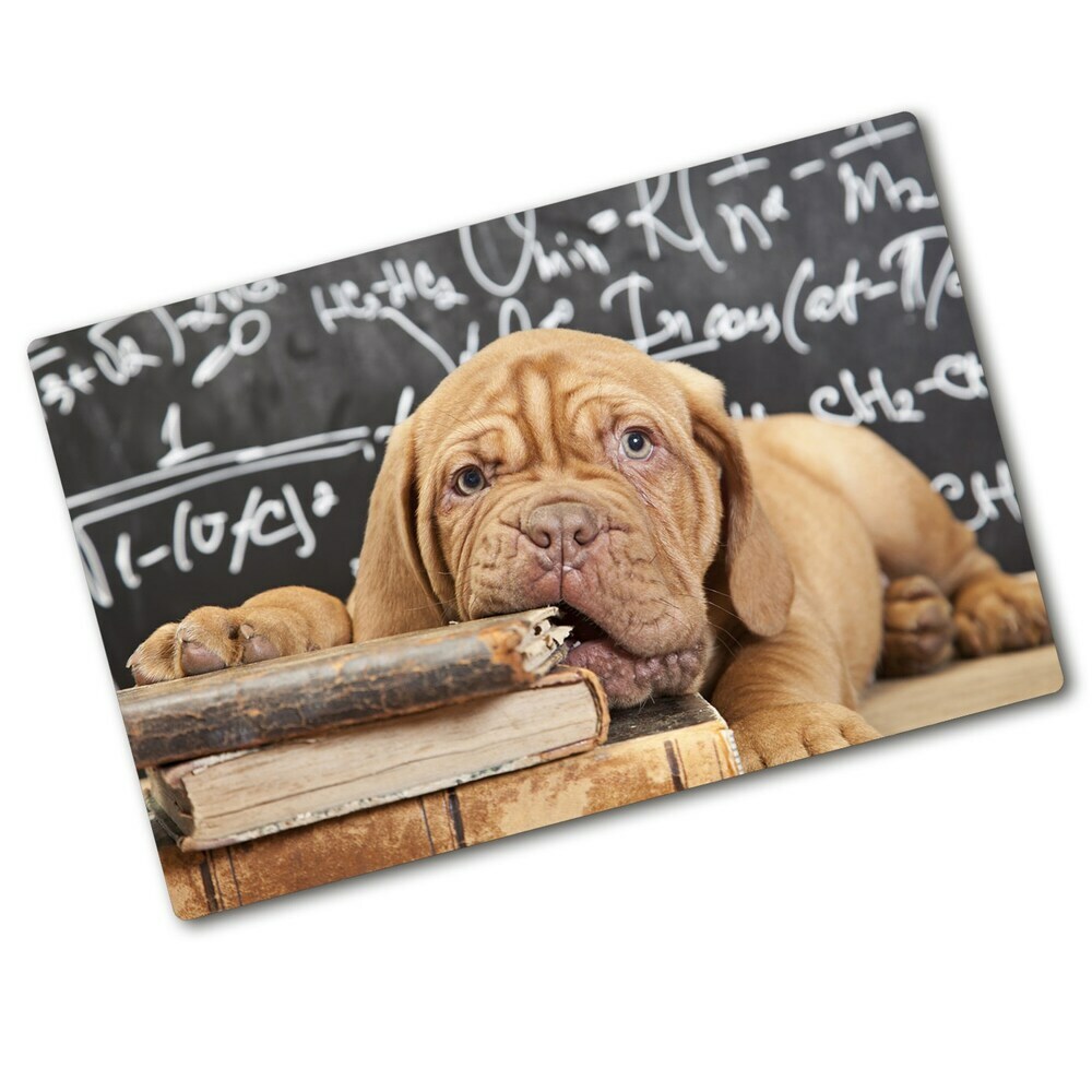 Protection plaque induction Un chien mord un livre