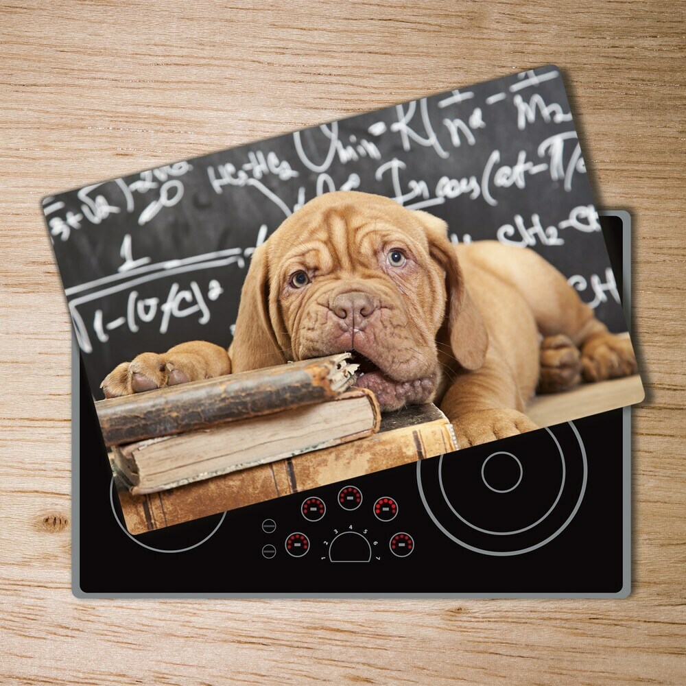 Protection plaque induction Un chien mord un livre