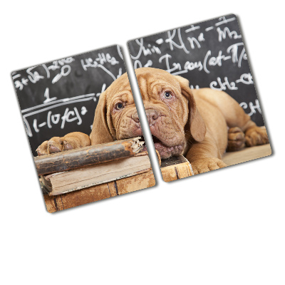 Protection plaque induction Un chien mord un livre