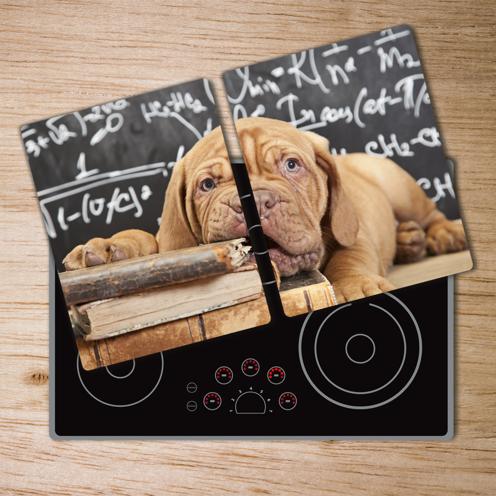 Protection plaque induction Un chien mord un livre