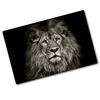 Protection plaque induction Portrait d'un lion