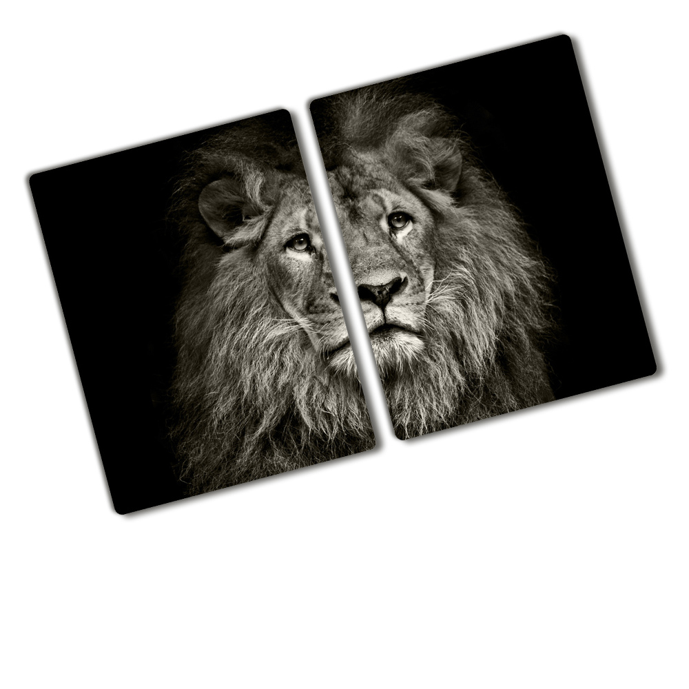 Protection plaque induction Portrait d'un lion